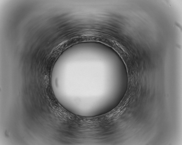 X0000095520821200712140907