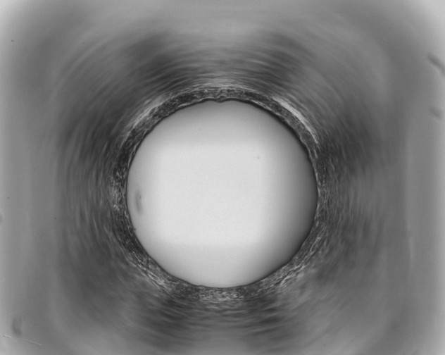 X0000095520823200712140907