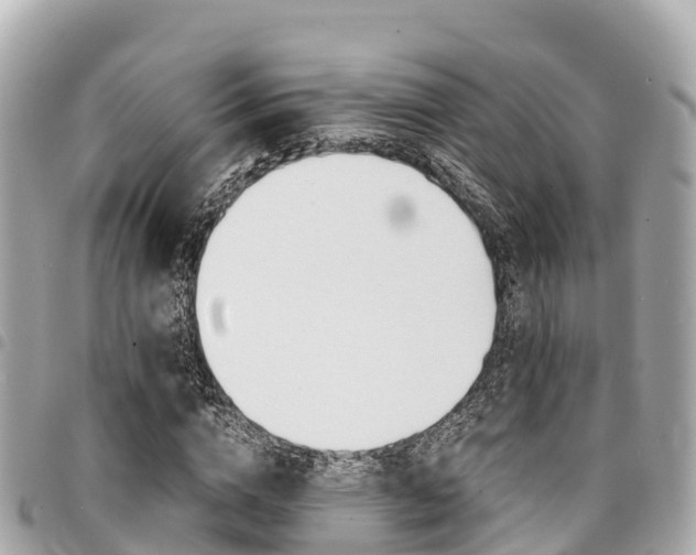 X0000095520824200712140907