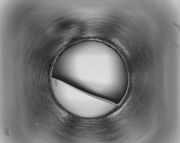 X0000095520825200712140907
