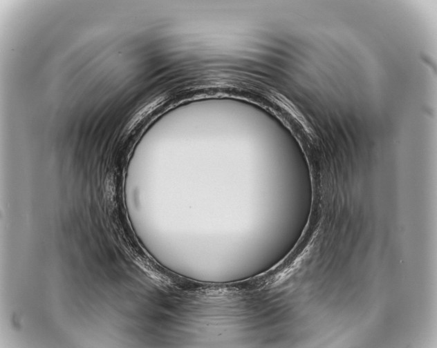 X0000095520826200712140907