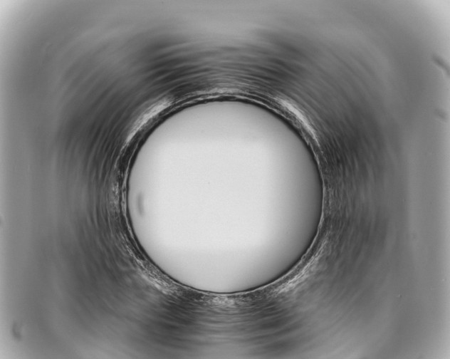 X0000095520827200712140907