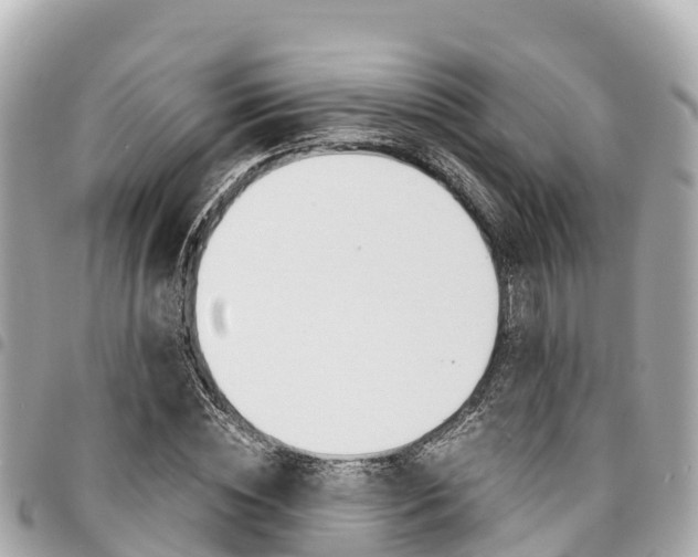 X0000095520828200712140907