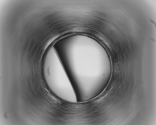 X0000095520829200712140907