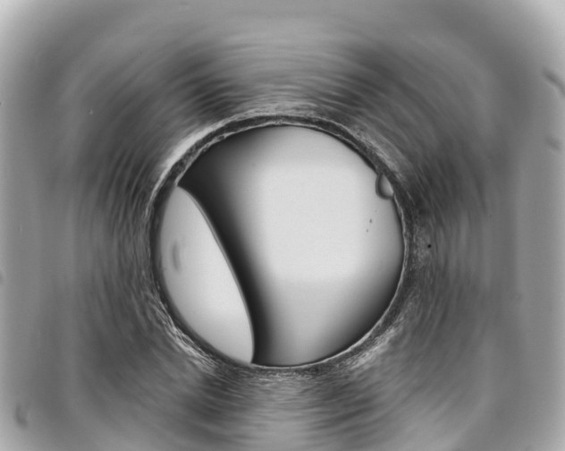X0000095520830200712140907