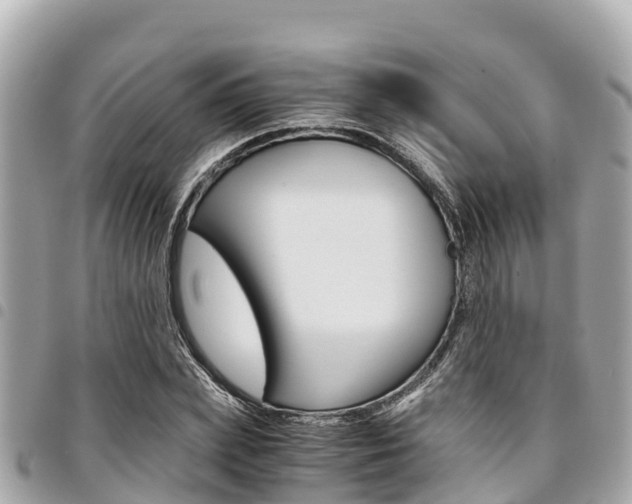 X0000095520831200712140907