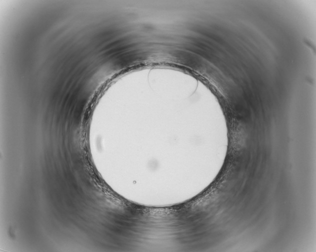 X0000095520832200712140907