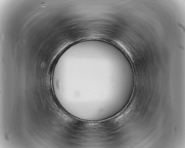 X0000095520835200712140907