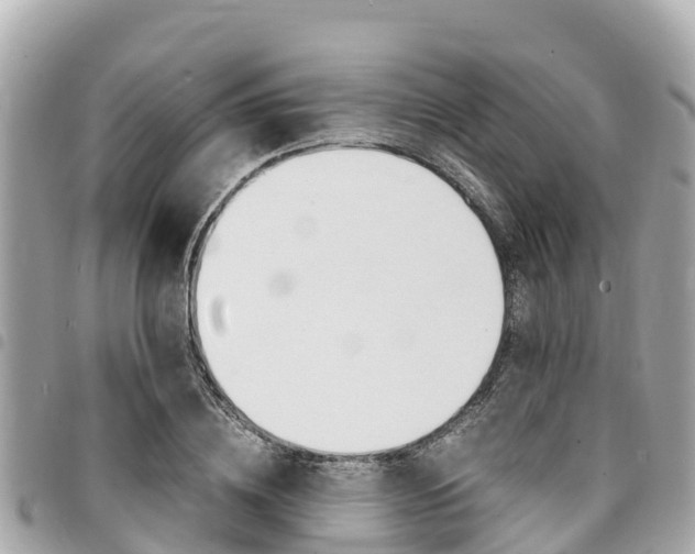 X0000095520836200712140907