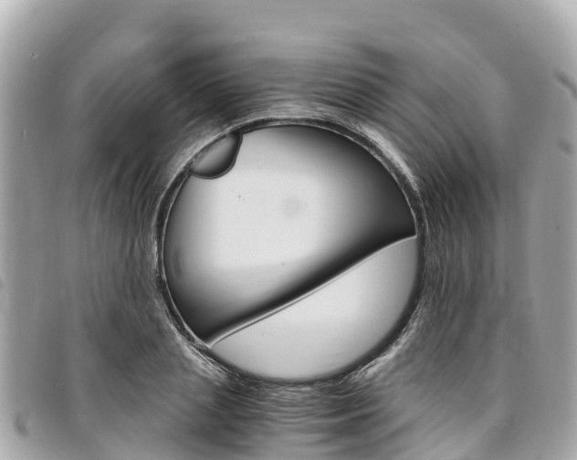 X0000095520837200712140907