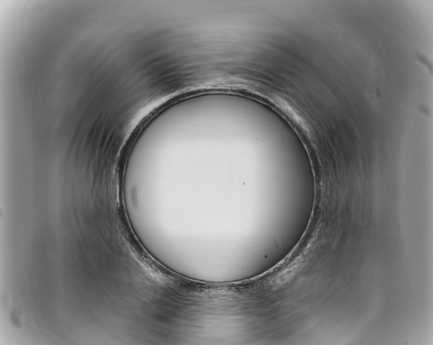 X0000095520838200712140907