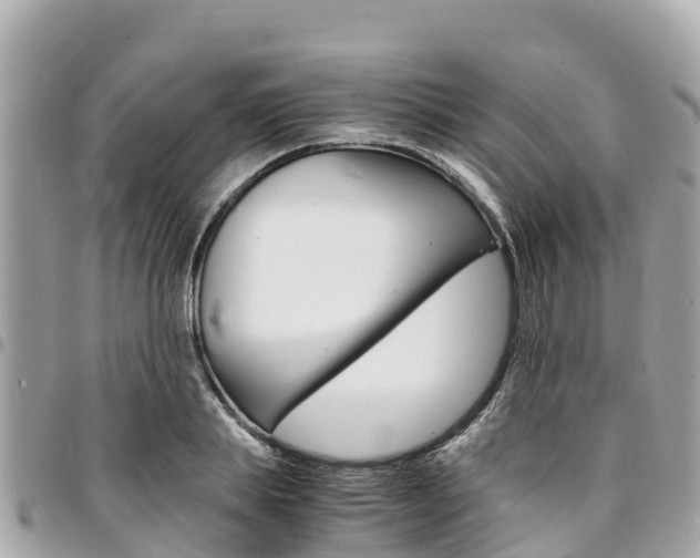 X0000095520839200712140907