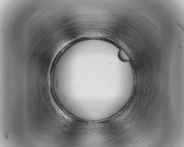X0000095520840200712140907