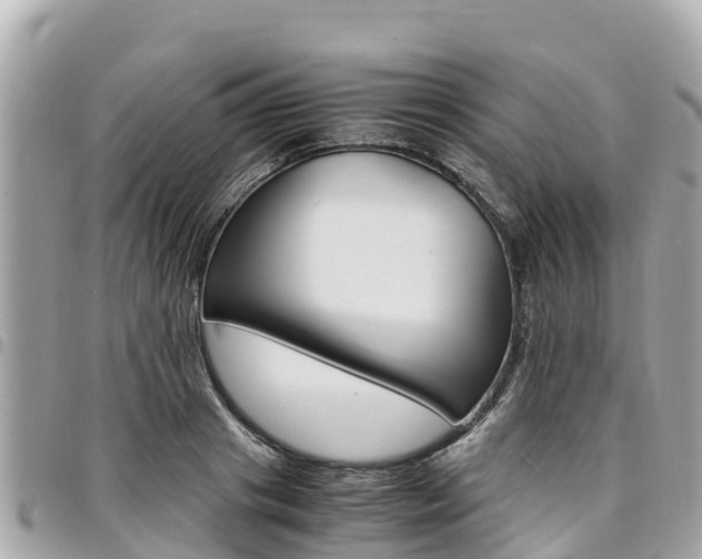 X0000095520841200712140907