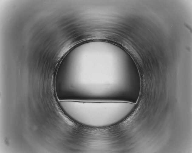 X0000095520842200712140907