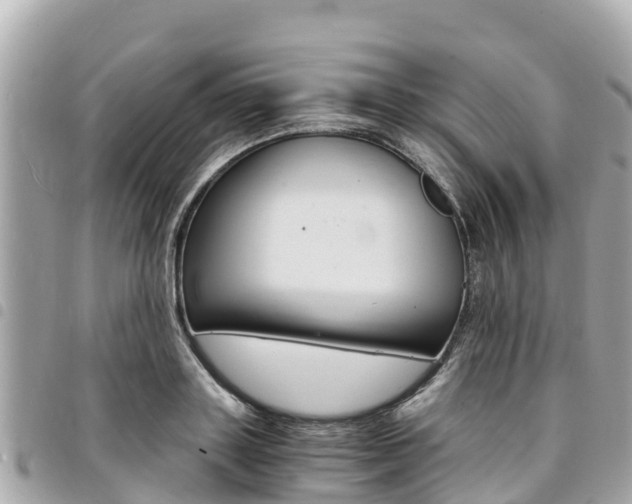 X0000095520843200712140907