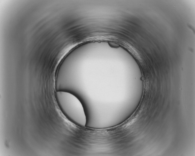 X0000095520844200712140907
