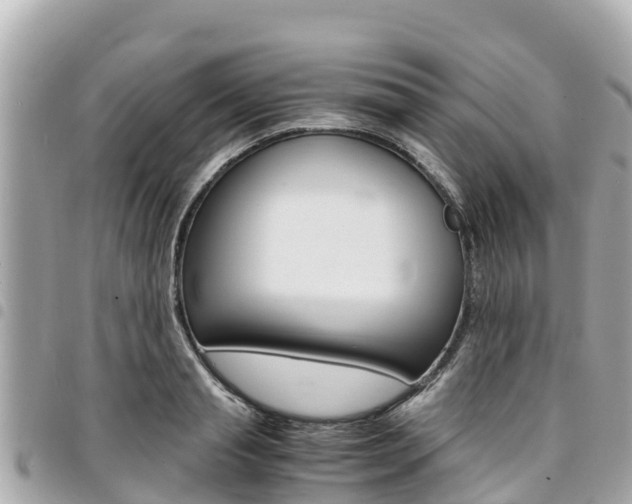 X0000095520845200712140907