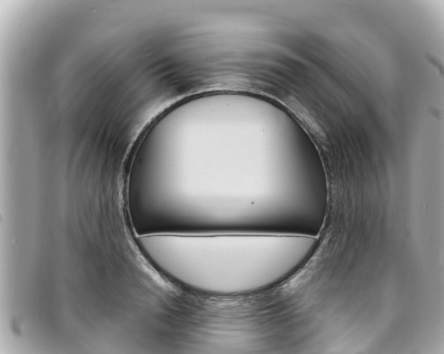 X0000095520846200712140907