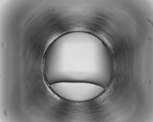 X0000095520847200712140907