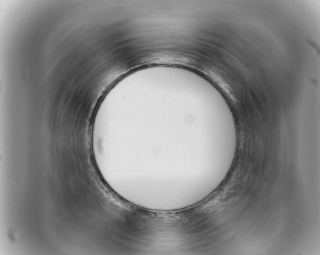 X0000095520848200712140907