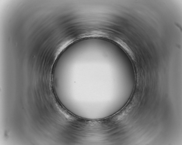 X0000095520850200712140908