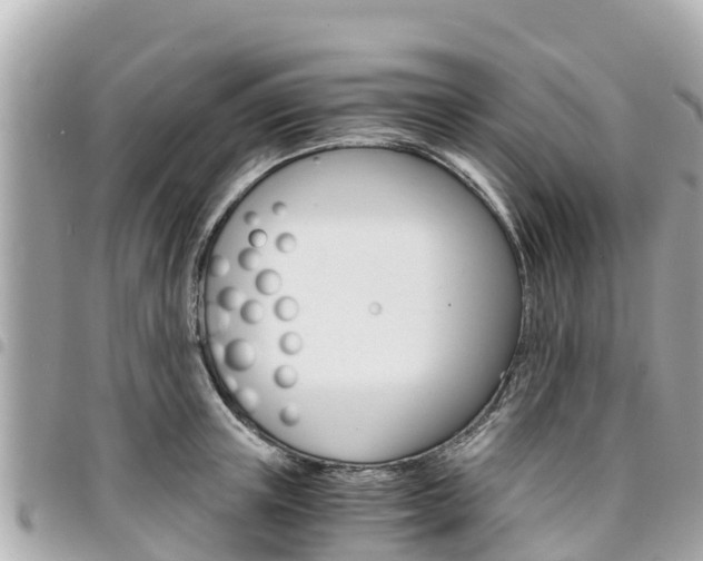 X0000095520851200712140908