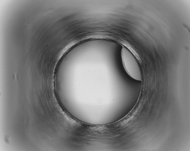 X0000095520853200712140908