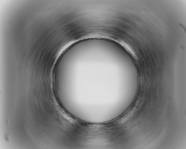 X0000095520854200712140908