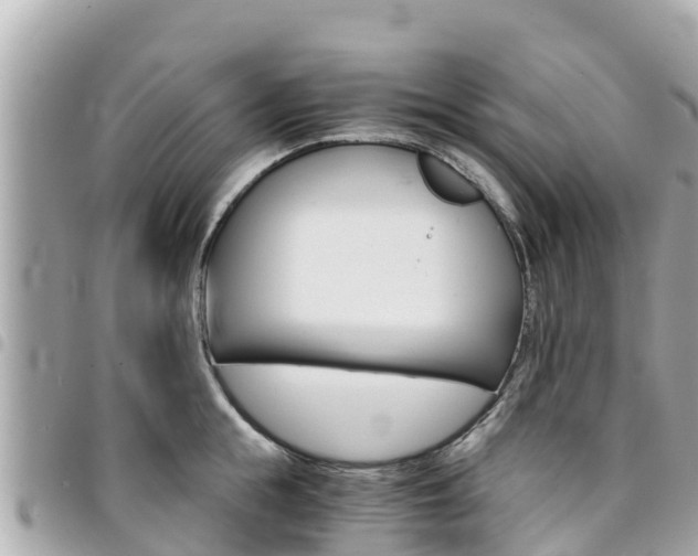 X0000095520855200712140908