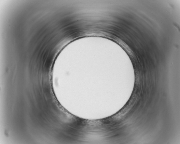 X0000095520856200712140908