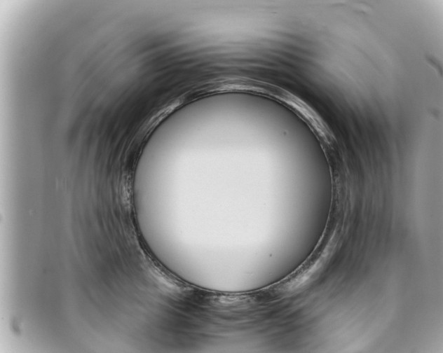 X0000095520857200712140908