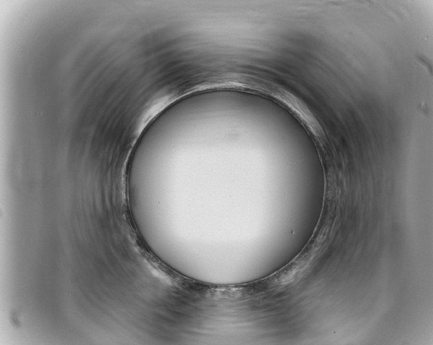X0000095520858200712140908