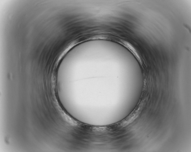 X0000095520859200712140908