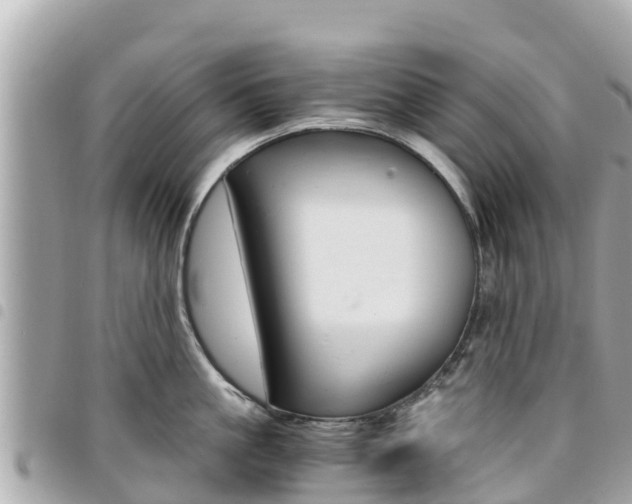 X0000095520861200712140908