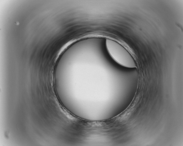 X0000095520862200712140908
