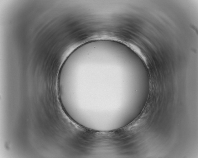 X0000095520863200712140908