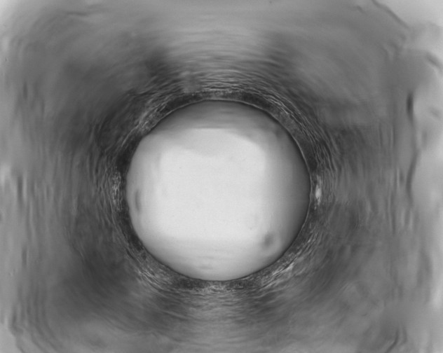 X0000095520867200712140907