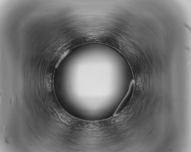 X0000095520868200712140907