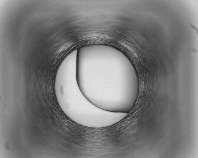 X0000095520869200712140907