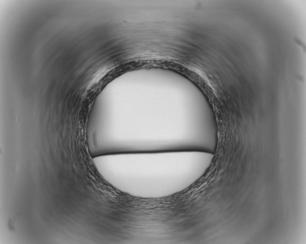 X0000095520871200712140907