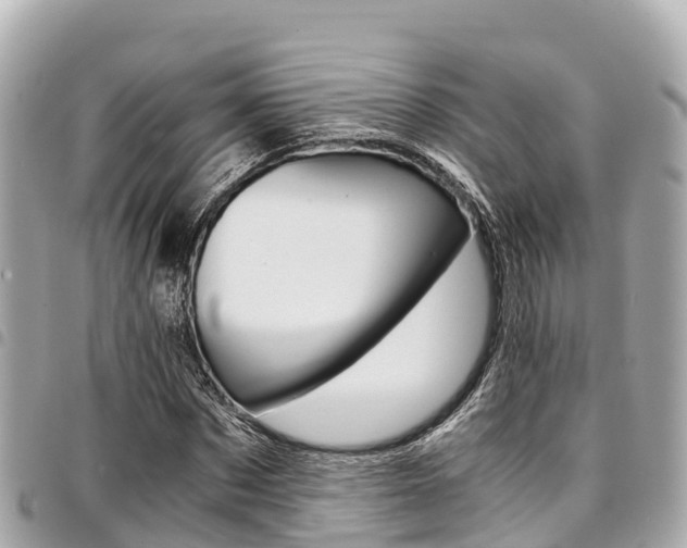 X0000095520873200712140907