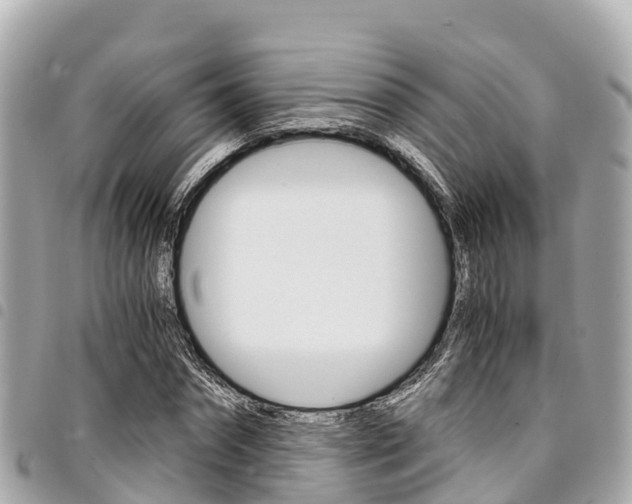 X0000095520874200712140907