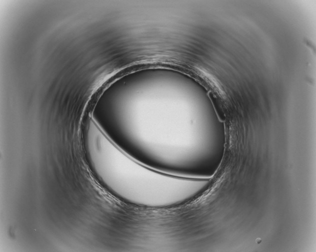 X0000095520876200712140907