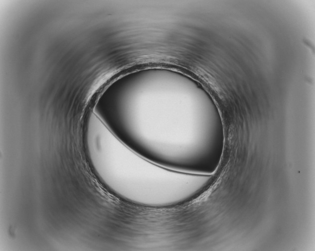 X0000095520877200712140907