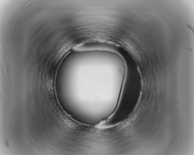 X0000095520881200712140907