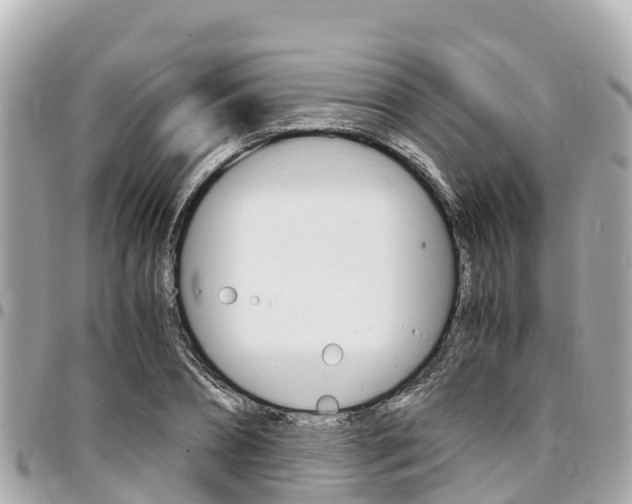 X0000095520882200712140907