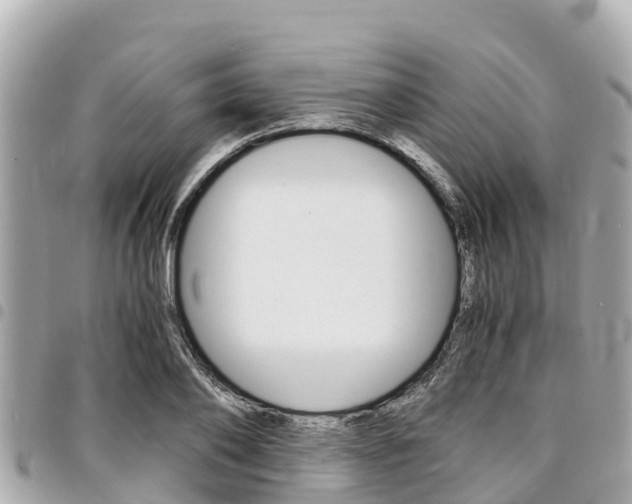 X0000095520886200712140907