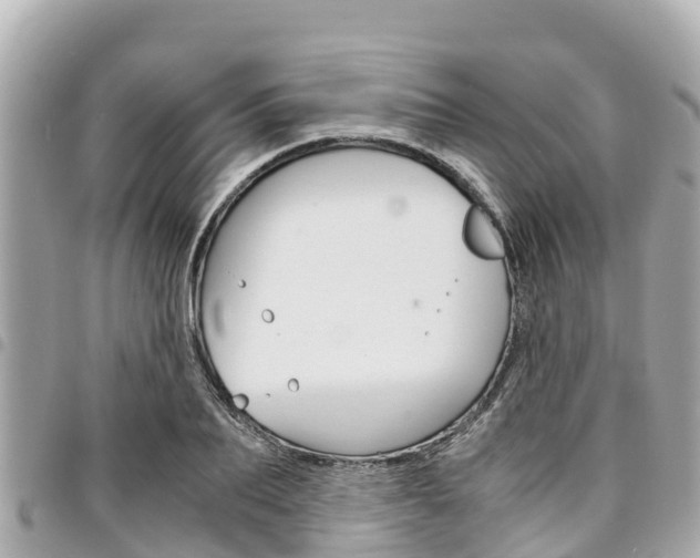 X0000095520887200712140907