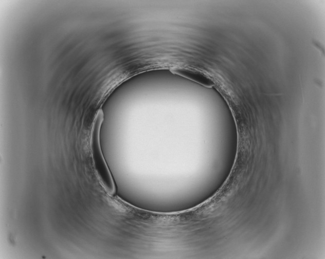 X0000095520889200712140907